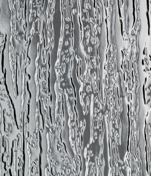 Rain (Privacy)